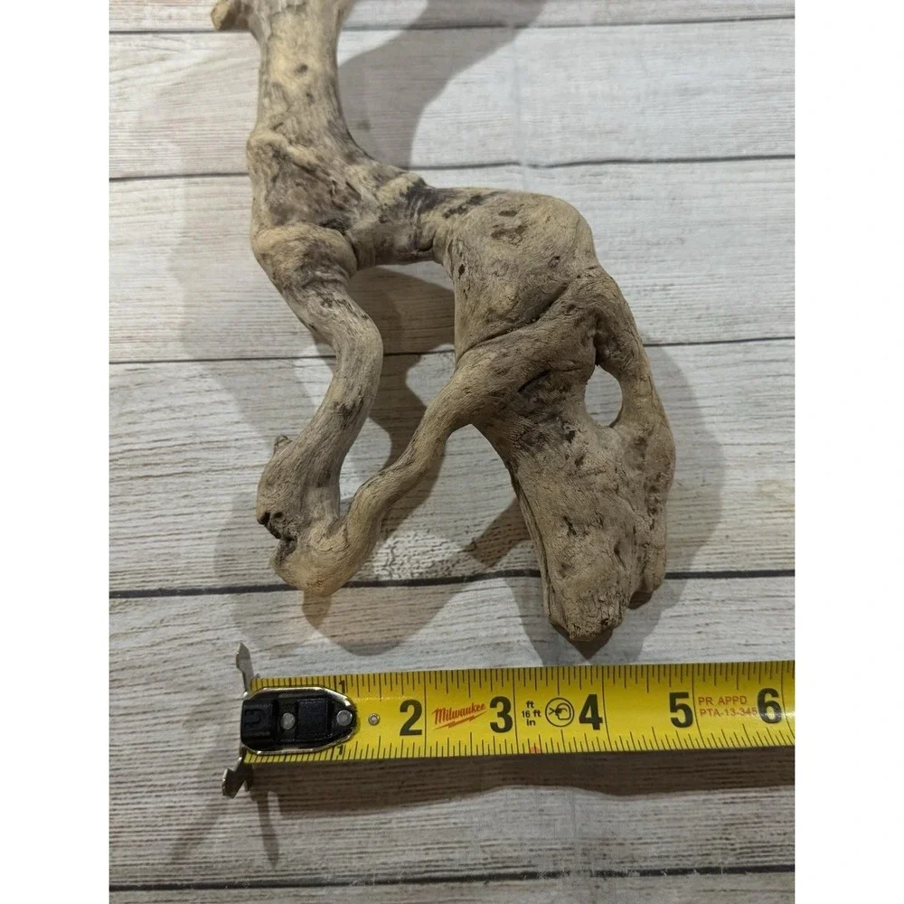 Vtg Piece of Driftwood that looks like a Dinosaur or Snake 17
